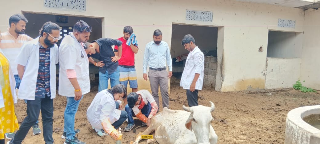 Free animal treatment done at village Govindghad gaushala chomu on Dated 07.08.2023